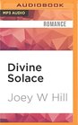 Divine Solace