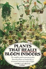 Plants that Really Bloom Indoors