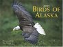 Birds of Alaska 2005 Calendar