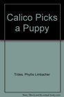 Calico Picks a Puppy