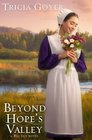 Beyond Hope\'s Valley (Big Sky, Bk 3)