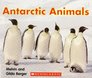 Antarctic Animals