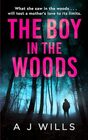 The Boy in the Woods