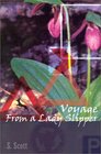 Voyage From a Lady Slipper