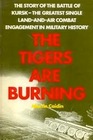 The Tigers are Burning