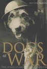 Dogs at War True Stories of Canine Courage Under Fire