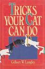 Tricks Your Cat Can Do