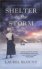 Shelter in the Storm (Johns Mill Amish Romance, Bk 1)