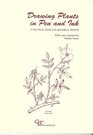Drawing plants in pen and ink A practical guide for botanical artists