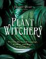Plant Witchery Discover the Sacred Language Wisdom and Magic of 200 Plants