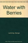 Water with Berries
