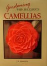Gardening With the Experts Camellias