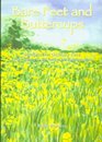 Barefeet and Buttercups Resources for Ordinary Time