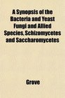 A Synopsis of the Bacteria and Yeast Fungi and Allied Species Schizomycetes and Saccharomycetes