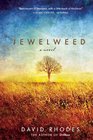 Jewelweed A Novel