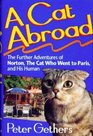 A Cat Abroad The Further Adventures of Norton the Cat Who Went to Paris and His Human