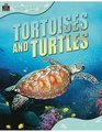 Animal Lives Tortoises and Turtles