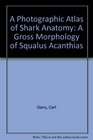 A Photographic Atlas of Shark Anatomy The Gross Morphology of Squalus Acanthias
