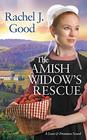 The Amish Widow's Rescue (Love and Promises, Bk 3)