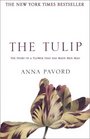 The Tulip  The Story of the Flower That Has Made Men Mad