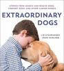 Extraordinary Dogs Stories from Search and Rescue Dogs Comfort Dogs and Other Canine Heroes