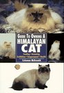 Guide to Owning a Himalayan Cat Feeding Grooming Exhibition Temperament Health