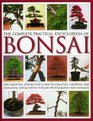 The Complete Practical Encyclopedia of Bonsai The essential stepbystep guide to creating growing and displaying bonsai with over 800 photographs