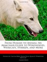 From Human to Animal An Armchair Guide to Werewolves Werecats Hybrids and More