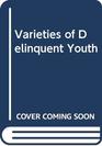 Varieties of Delinquent Youth