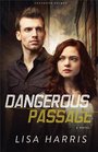 Dangerous Passage (Southern Crimes, Bk 1)