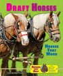 Draft Horses Horses That Work