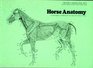 Horse Anatomy A Pictorial Approach to Equine Structure