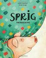 Sprig the Rescue Pig