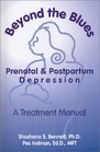 Beyond The Blues Prenatal and Postpartum Depression A Treatment Manual