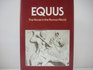 Equus Horse in Roman Times
