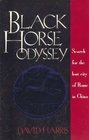 Black Horse Odyssey  Search for the Lost City of Rome in China