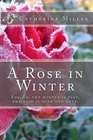 A Rose in Winter