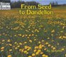 From Seed to Dandelion