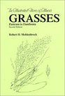 Grasses Panicum to Danthonia
