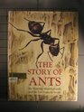 The Story of Ants