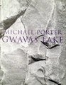 Michael Porter Gwavas Lake