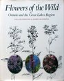 Flowers of the Wild Ontario and the Great Lakes Region
