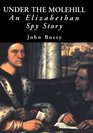 Under the Molehill  An Elizabethan Spy Story