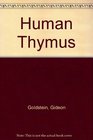 Human Thymus