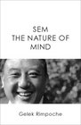 SEM The Nature of Mind
