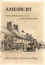 Amesbury History and Description of a South Wiltshire Town