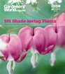 101 ShadeLoving Plants Ideas to Lighten Shadows