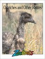 Ostriches and Other Ratites (Zoobooks)