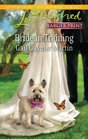 Bride in Training (Steeple Hill Love Inspired (Large Print))