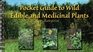 Pocket Guide to Wild Edible & Medicinal Plants